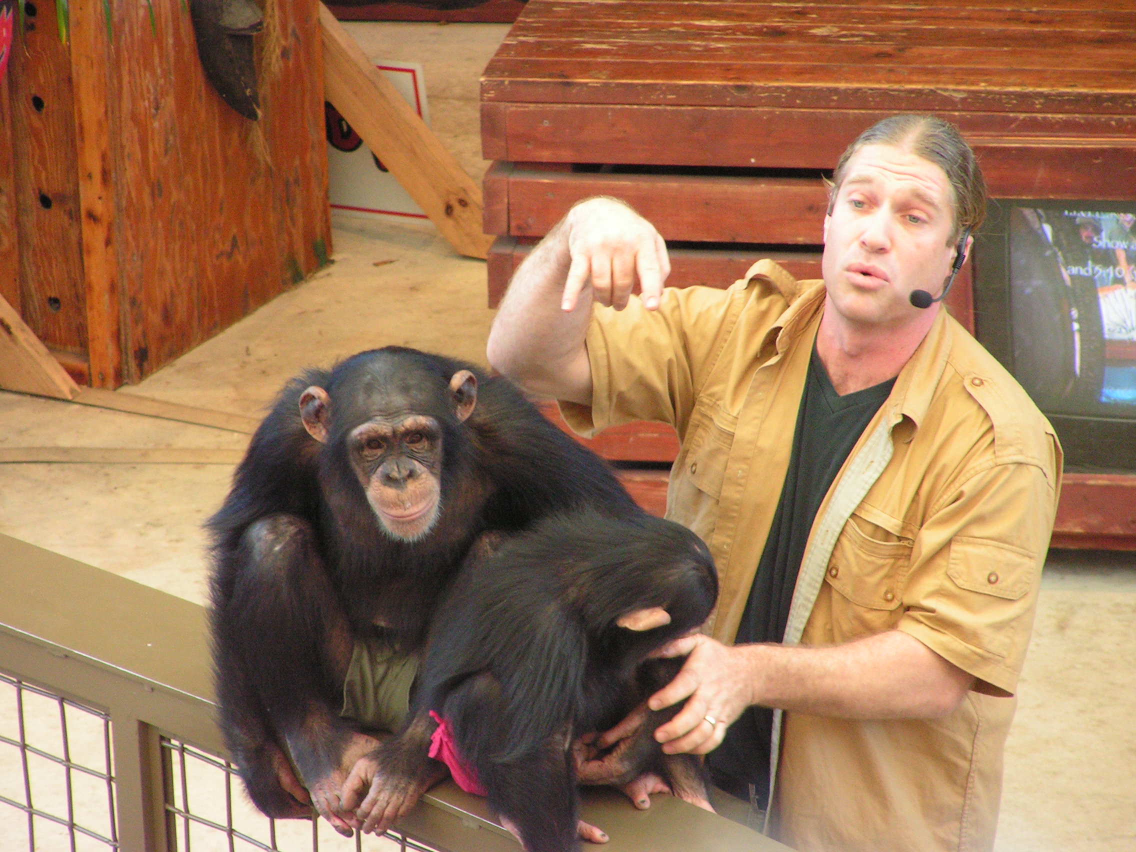 ./2006/Christmas/Parrot Jungle/PICT0273.JPG